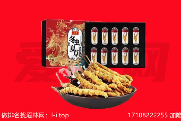 乌鲁木齐回收虫草.jpg